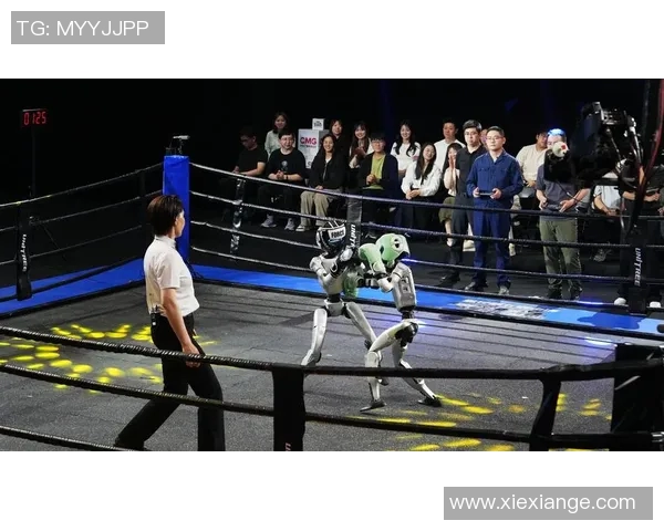 开发商比赛-开发商竞技大赛,探索新时代的地产竞赛之道-开发商比赛